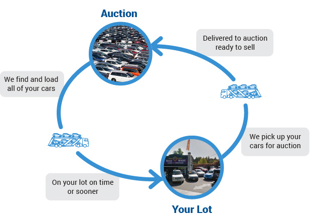 used car dealer and auction transport cycle
